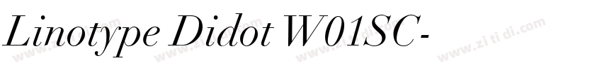 Linotype Didot W01SC字体转换